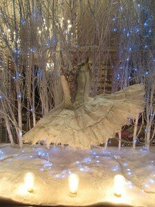 IMG_2569bis