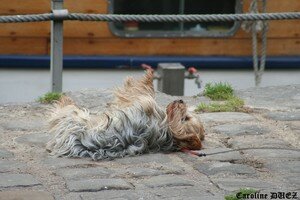 1_juin_2007_225_copie