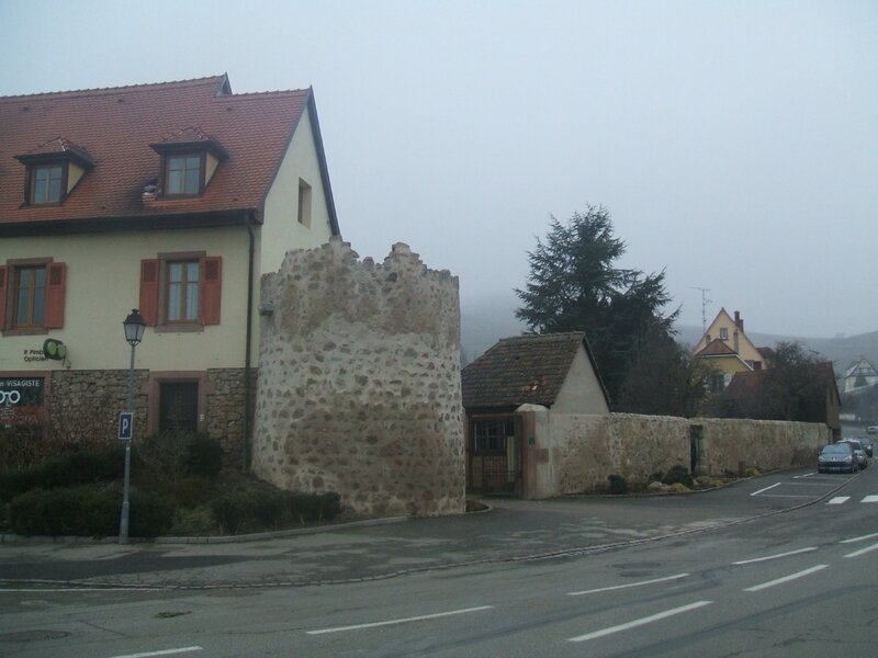 DSCF3646