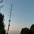 P1030802