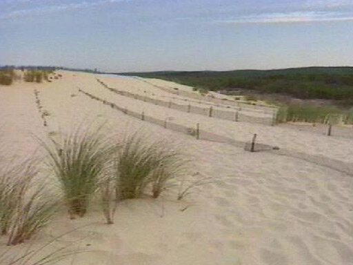 Landes00045