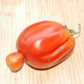 tomate gigogne