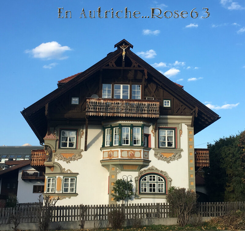 3-Rose Autriche (2)