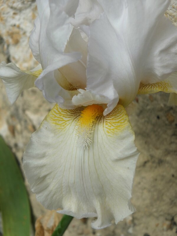 DSCF0574