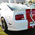 Ford Shelby Mustang GT 500 coupe_06 - 2010 [USA] GJ_GF