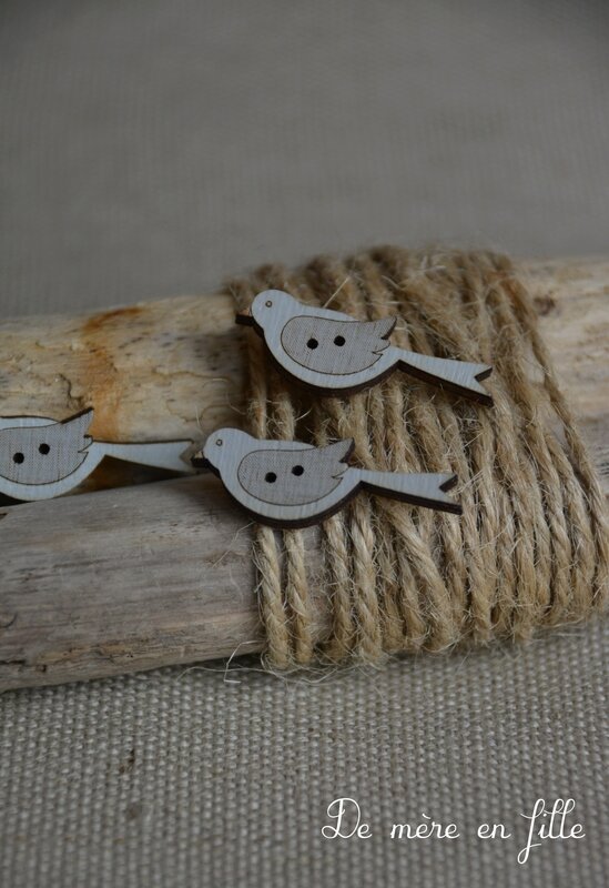 oiseau gris