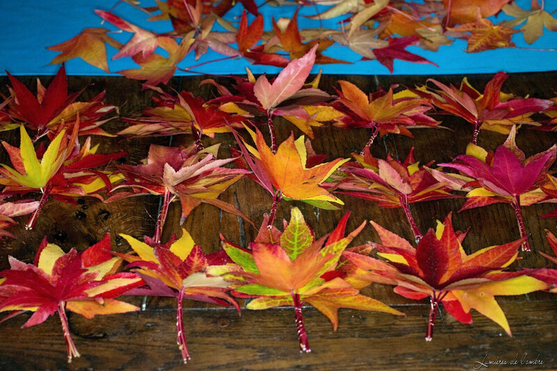w_Tuto couronnes bouquets_20181109_6442