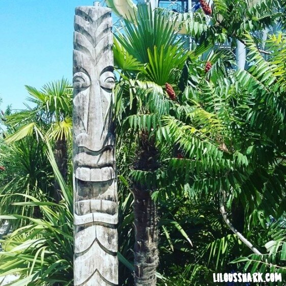 Porte verre gonflable palmier -décoration à thème hawai