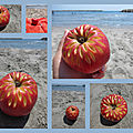 Pomme à la plage