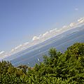 _DSC0038