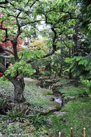Jardin-Albert-Kahn-060