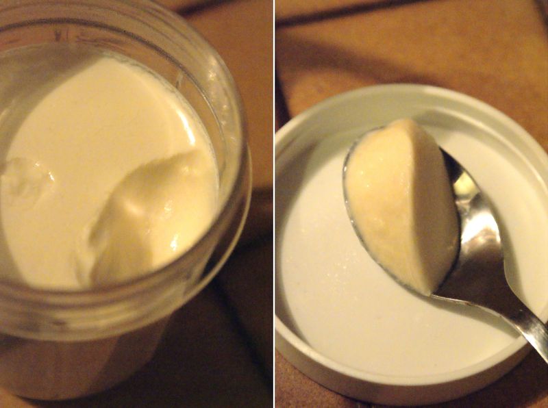Recette de yaourts à la vanille maison : bien fermes ! : Il était