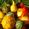 2010-10-22_185907