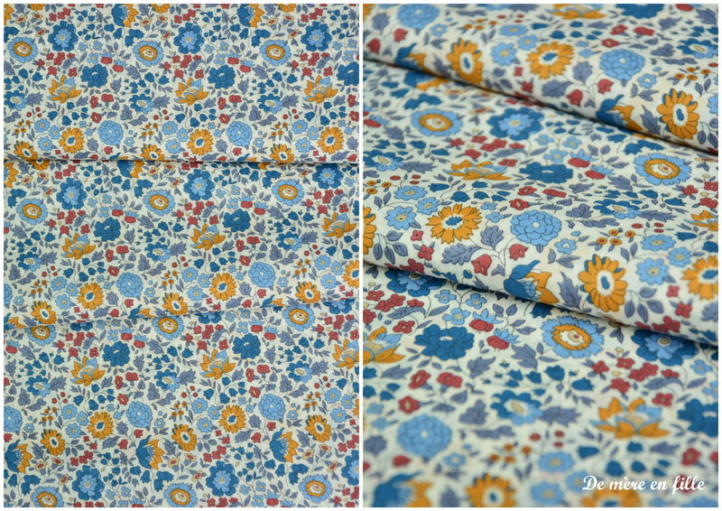 d'anjo bleu et moutarde