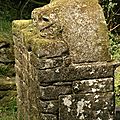 DSC07743