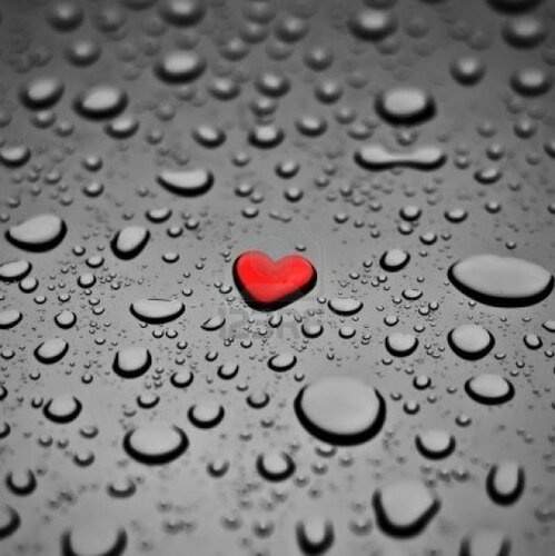 Douces Pensees Tous Les Messages Sur Douces Pensees Amour De Sms Douces Pensees Tous Les Messages Sur Douces Pensees Amour De Sms