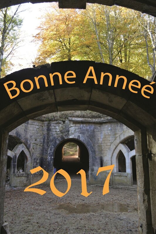 Bonne année 2017