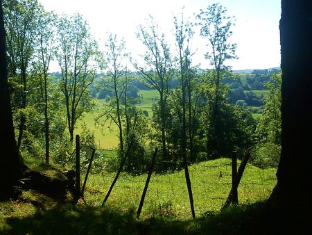 DSC00533
