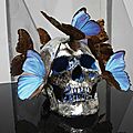 Philippe pasqua (né en 1965) vanité, tête aux papillons