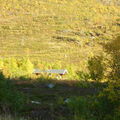14-09-08 Sortie Velo Sjotun (21)