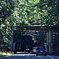Mount Rainier Enter
