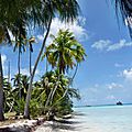 TAHITI 2016 Série 1