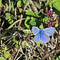 IMG_9877