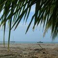 yg TRINIDAD ET TOBAGO