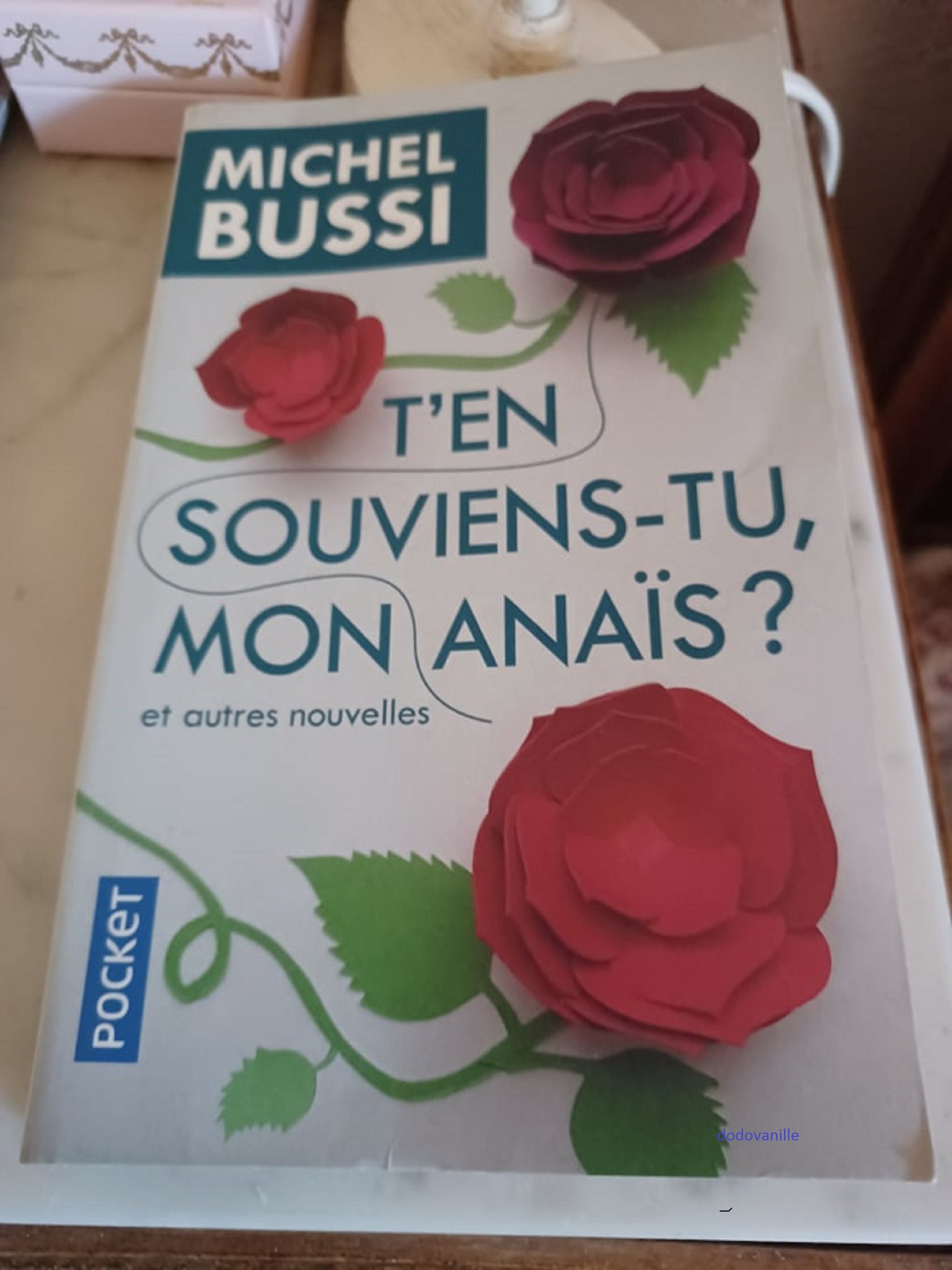 T'en souviens-tu mon Anaïs ?, un livre de Michel Bussi