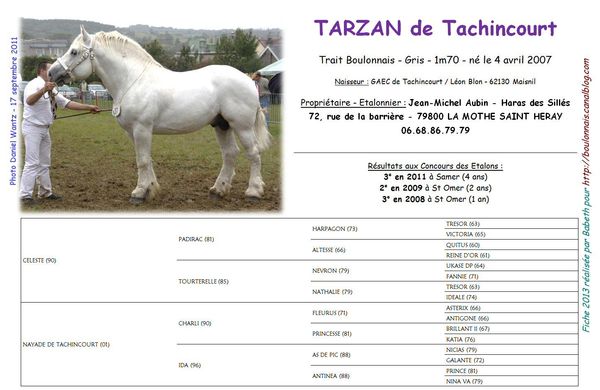 Tarzan_de_Tachincourt