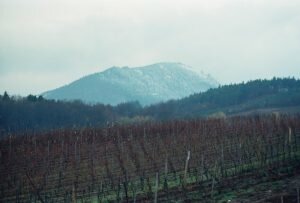 ungersberg