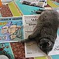 IMG_1503 - Copie