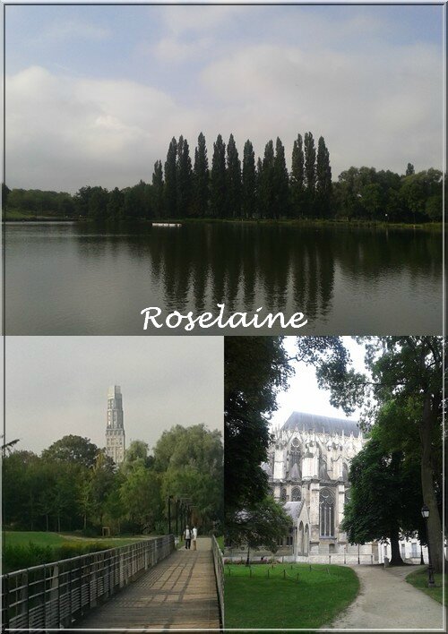 Roselaine144 Amiens