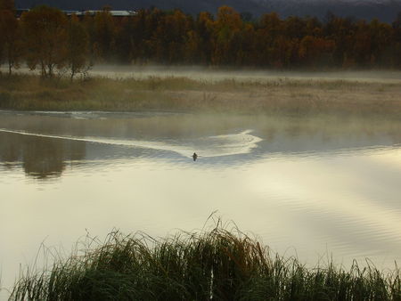 25_09_08_Brume__4_