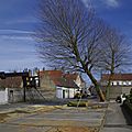 _IGP3555