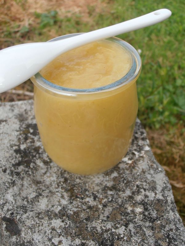 Compote pomme/rhubarbe au thermomix la cuisine d'Angelle