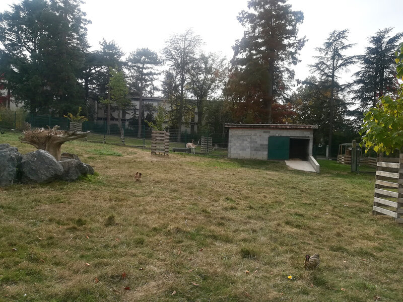 parc Labesse, 26 oct 2018 (4)