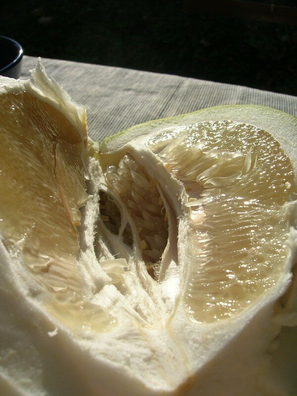 Pomelo Chinois, Késako? Angel Cake