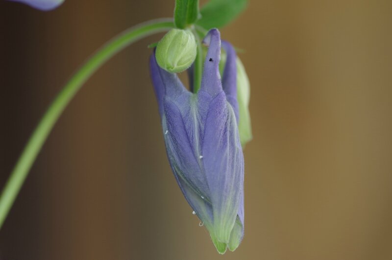 IMGP9588
