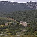 _DSC0505