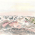 50 Dunes ©