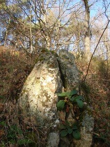 montbrison_014