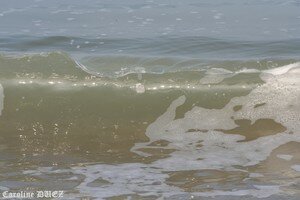 8_octobre_2007_449_copie