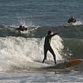 IMG_7294