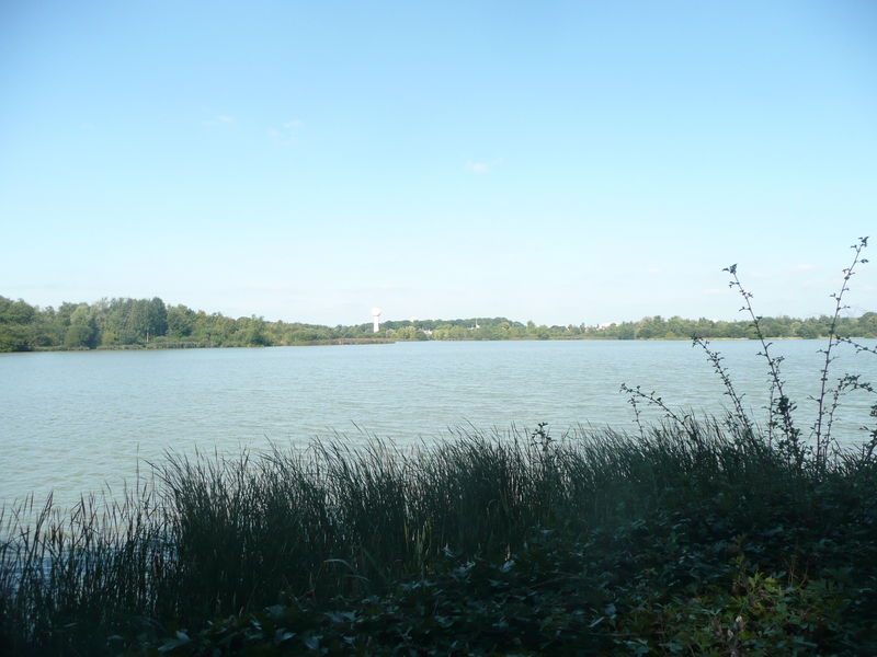 L'étang des Noés - Photo de La Verrière le 14 septembre 2008 - Les ...