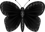 butterfly1