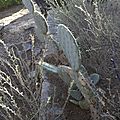_DSC0196