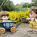IMG_6895