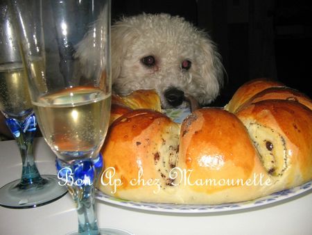 Brioche couronnée au pavot et pépites chocolatées 028