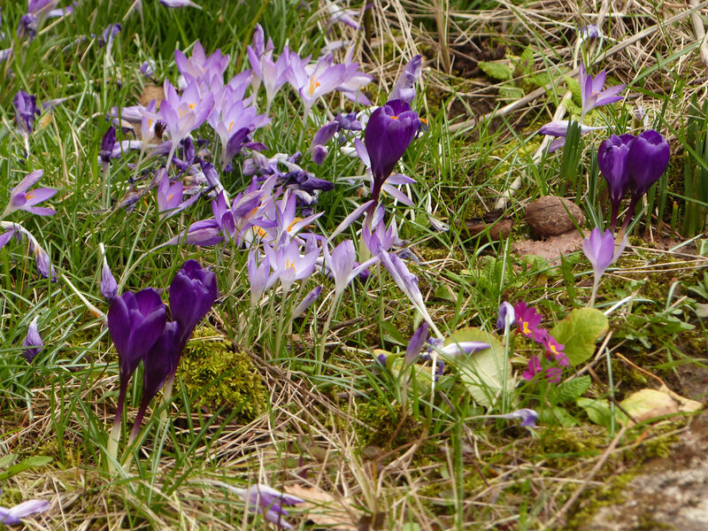 P1510323
